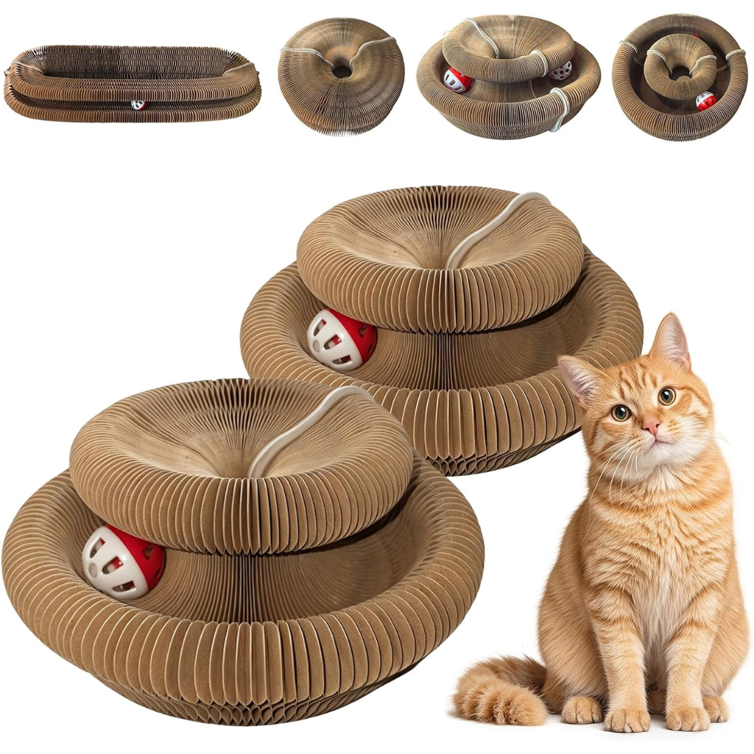 Pawly™ | Rascador Multiforma para Gatos
