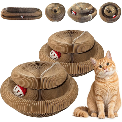 Pawly™ | Rascador Multiforma para Gatos