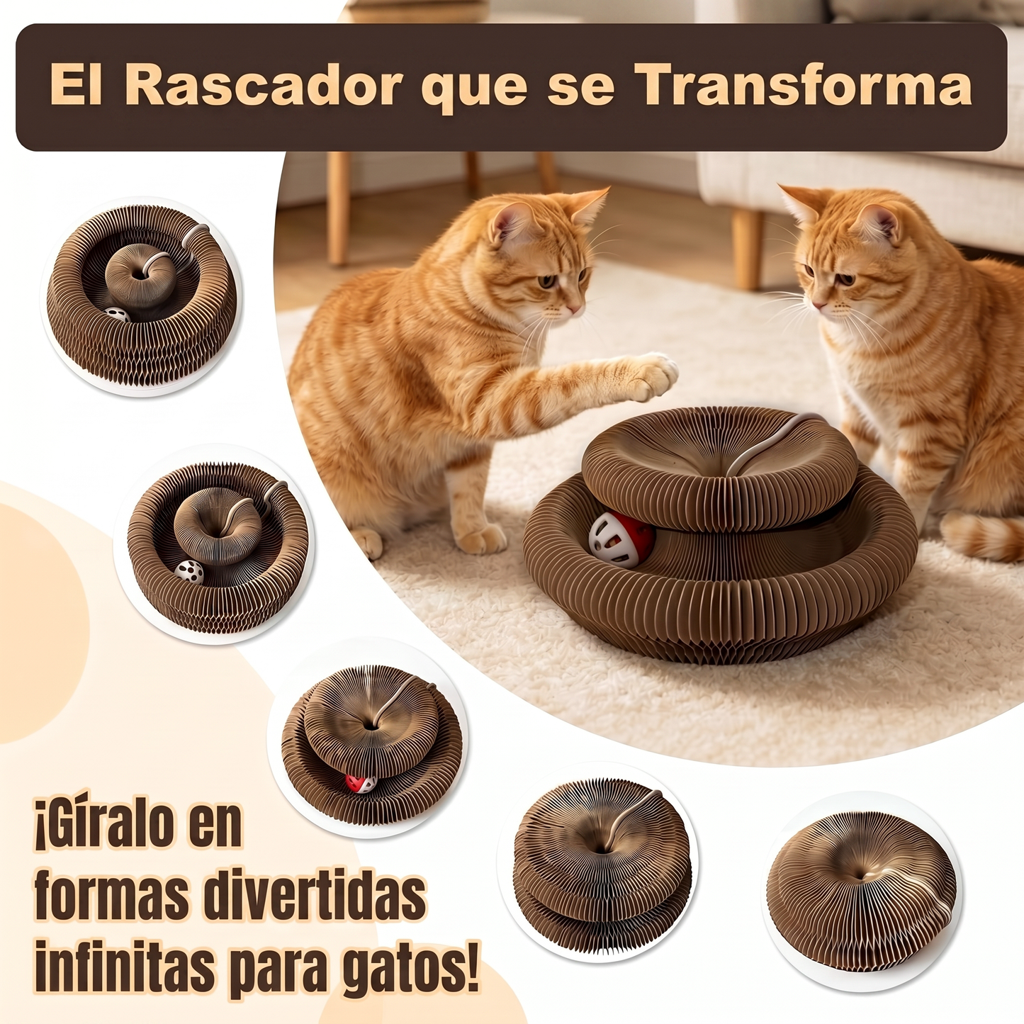 Pawly™ | Rascador Multiforma para Gatos