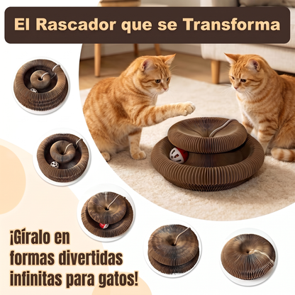 Pawly™ | Rascador Multiforma para Gatos