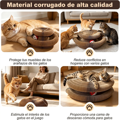 Pawly™ | Rascador Multiforma para Gatos