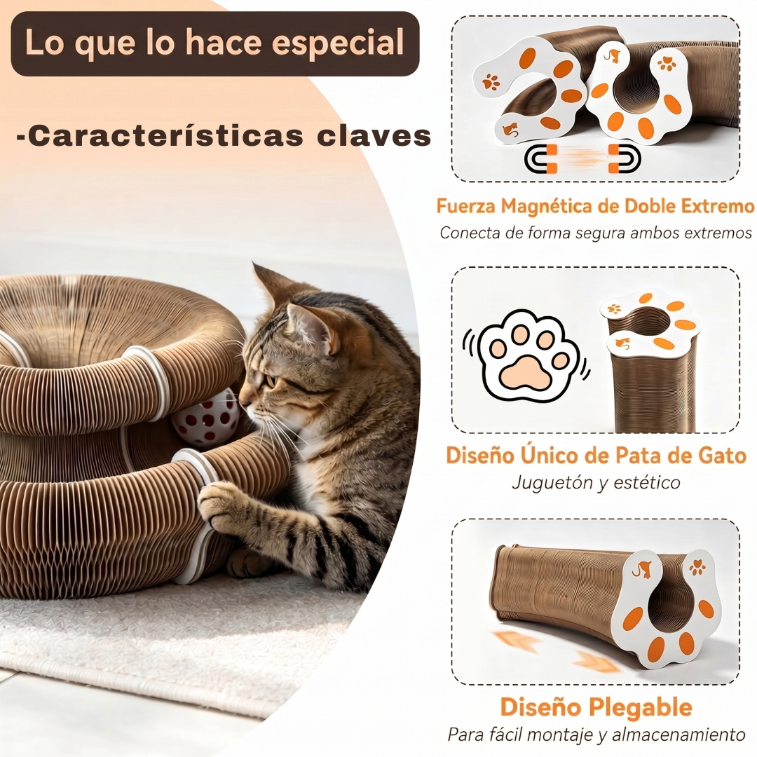 Pawly™ | Rascador Multiforma para Gatos